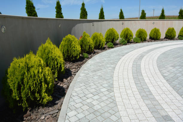 Best Driveway Resurfacing Pavers  in Mcqueeney, TX